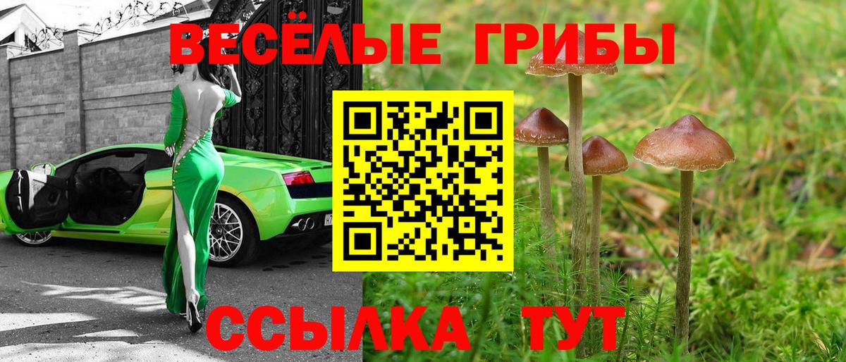 Псилоцибиновые грибы мицелий  Вход с VPN  Вичуга 