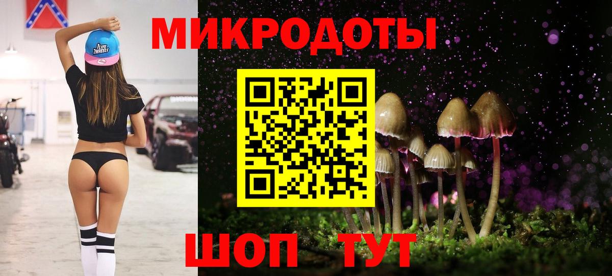 Галлюциногенные грибы Psilocybe Вичуга